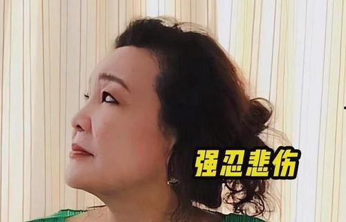 孟贺爆料张兰拿奖了吗视频,张兰获奖真相曝光 第3张 孟贺爆料张兰拿奖了吗视频,张兰获奖真相曝光 第3张